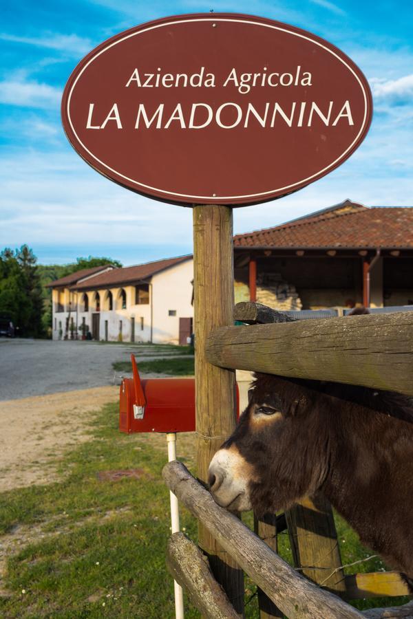 La Madonnina Agriturismo Dore Alba  Eksteriør bilde